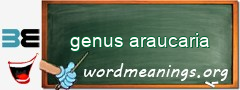 WordMeaning blackboard for genus araucaria